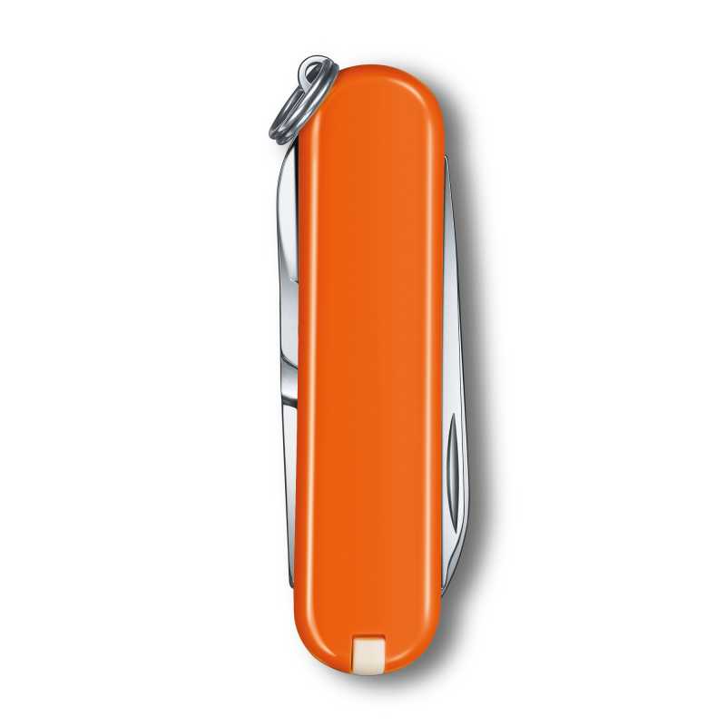 Taschenmesser Victorinox Classic Colors, "Mango Tango", orange, Rückseite